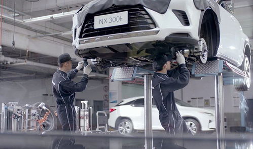 不想賺我們的錢？這個品牌火到加價(jià)，但為何不國產(chǎn)